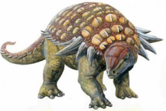 大型植食恐龙：埃德蒙顿甲龙 全身布满骨质刺(防御超强)