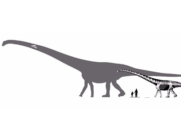 巨型泰坦恐龙：沉重龙 诞生于白垩纪/体长15-20米