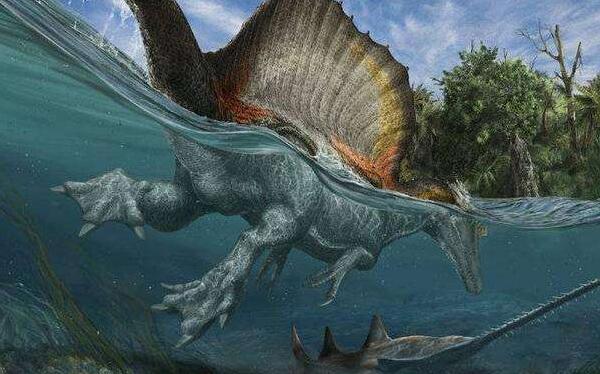 斯基玛萨龙：非洲大型食肉恐龙（长10.5米/9400万年前）