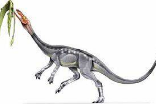 非洲角鼻恐龙：轻巧龙 小腿比大腿长很多(堪称奔跑能手)
