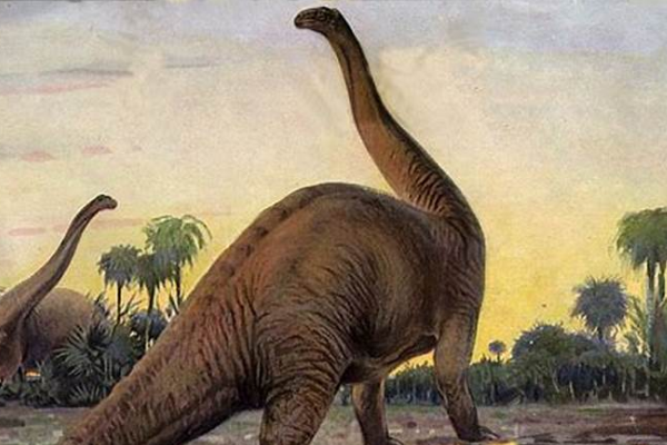 巨型梁龙科恐龙:原雷龙 身长超过20米(走路发出雷震声)