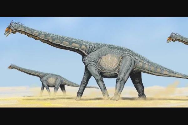 巨型泰坦巨龙:富塔隆柯龙 体长最多34米(脖子占一半)