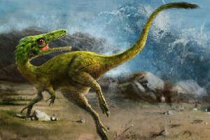 细爪龙：世界上最聪明的恐龙（长2米/北美洲小型恐龙）