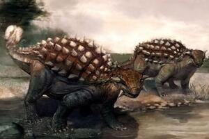 多智龙：蒙古国大型食草恐龙（长8.5米/距今6900万年前）