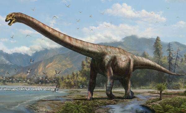 三角区龙：巴西大型食草恐龙（长9.5米/距今6500万年前）