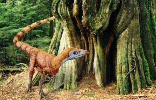 天宇盗龙：辽宁小型食肉恐龙（长2.1米/距今1.55亿年前）