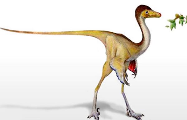 鸵鸟龙：蒙古国小型食肉恐龙（长2.5米/类似鸵鸟的恐龙）