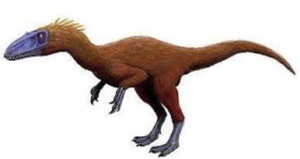 吐谷鲁龙：中国小型食肉恐龙（长3米/距今1.36亿年前）