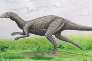 大地龙：中国小型食草恐龙（长1.2米/最原始的剑龙）