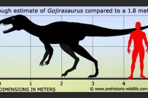 大型食肉恐龙:哥斯拉龙 体长5.5米(三叠纪顶级掠食者)