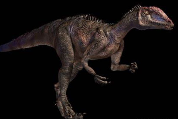 大型食肉恐龙:哥斯拉龙 体长5.5米(三叠纪顶级掠食者)