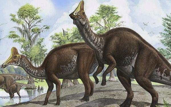 阿穆尔龙：黑龙江大型食草恐龙（长6米/距今6500万年前）