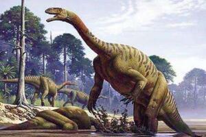 满洲龙：中国发现的第一具恐龙化石（长8米/黑龙江出土）
