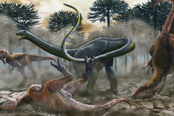 巨型蜥脚类恐龙:伊希斯龙 体长可达18米(脖子极短)
