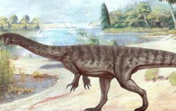 金山龙：云南大型食草恐龙（长7.5米/距今1.98亿年前）