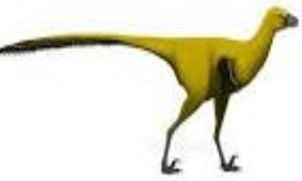 新疆猎龙：新疆小型恐龙（长4.5米/距今1亿年前）