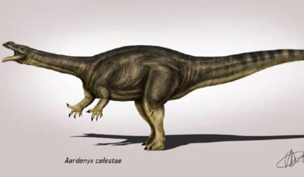 金山龙：云南大型食草恐龙（长7.5米/距今1.98亿年前）