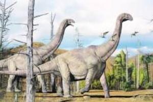 易门龙：云南大型食草恐龙（长9米/距今1.96亿年前）