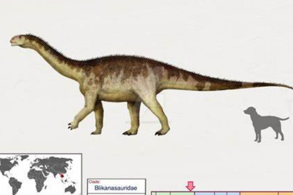 大型蜥脚类恐龙:伊森龙 股骨就有65厘米长(是人的2倍)