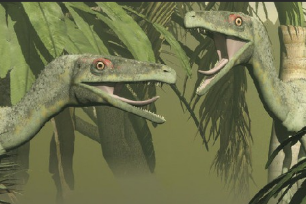 小型食肉恐龙:侏罗猎龙 体长仅75厘米(疑似有羽毛)