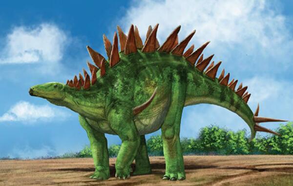 沱江龙：四川大型食草恐龙（长7米/与剑龙同时代且相似）