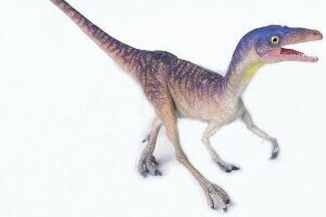 川东虚骨龙：四川小型食肉恐龙（长2.4米/1.65亿年前）