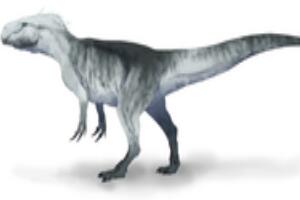 宣汉龙：唯一四足行走的食肉恐龙（长6米/中国四川出土）