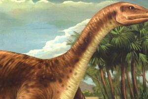 原颌鸟：四川巨型食草恐龙（长20米/距今1.6亿年前）