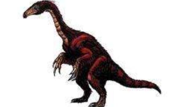 资中龙：四川大型食草恐龙（长9米/距今1.8亿年前）