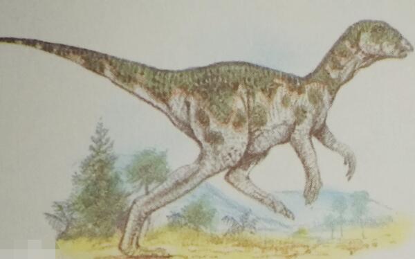 雷利诺龙：视力最好的食草恐龙（长0.9米/澳大利亚出土）