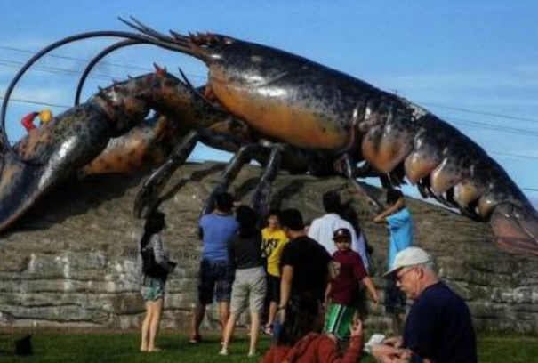 世界上最大的龙虾：体长1米，重达30斤(镇店之宝)