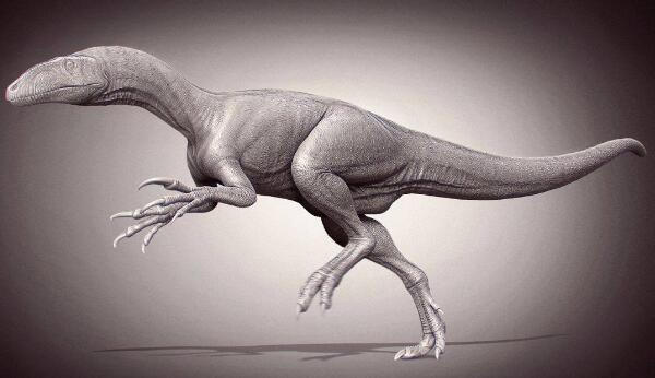 大盗龙：阿根廷的顶级掠食者（长8米/距今9000万年前）