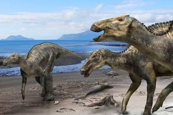 克贝洛斯龙:俄罗斯大型植食性恐龙(头顶长脊冠)