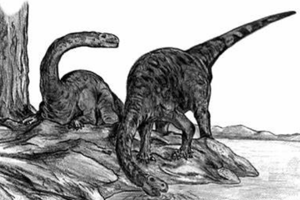芦沟龙:云南小型肉食恐龙(体长1.5米/酷似鸵鸟)