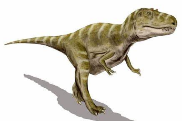 小力加布龙:南美迷你型食肉恐龙(体长仅70厘米)