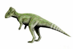 喇嘛角龙:蒙古小型植食恐龙(体长2米/带有三角头盾)