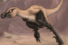 临河盗龙:内蒙古小型肉食恐龙(体长仅1.8米/速度极快)