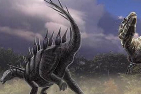 勒苏维斯龙:欧洲中型剑龙科恐龙(长5米/肩膀有尖刺)