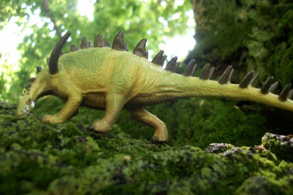 勒苏维斯龙:欧洲中型剑龙科恐龙(长5米/肩膀有尖刺)