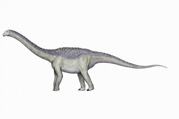 拉布拉达龙:南美巨型植食恐龙(背部长鳞甲/长18米)