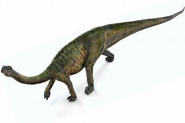 禄丰龙:亚洲出土的唯一板龙科恐龙化石(体长6米)