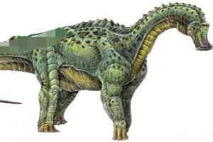 博妮塔龙：阿根廷大型食草恐龙（长9米/8000万年前）