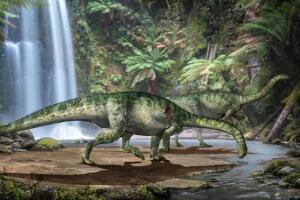 包鲁巨龙：巴西巨型食草恐龙（长24米/距今6500万年前）