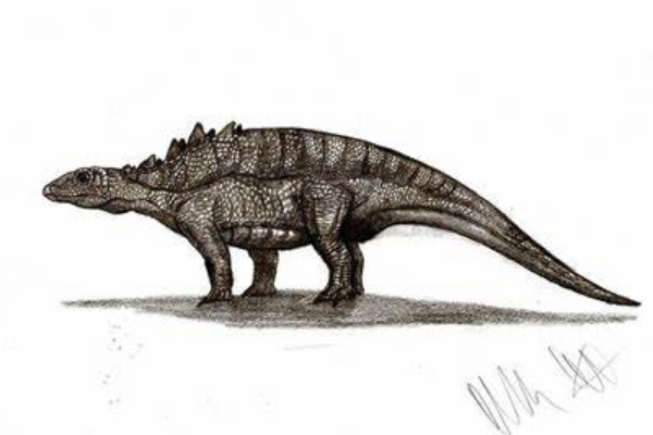 辽宁龙:中国超小型甲龙类恐龙(化石仅长34厘米)