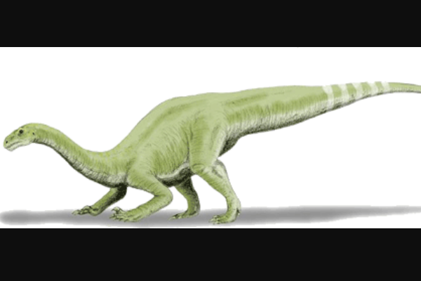 兰普龙:印度巨型蜥脚恐龙(体长10米/生存于1.9亿年前)