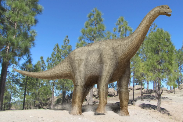 劳尔哈龙:欧洲大型植食恐龙(长17米/生于1.4亿年前)