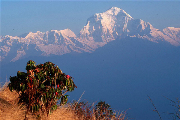 世界第三高峰是什么 干城章嘉峰（位于尼泊尔印度边界）
