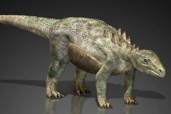 辽宁龙:中国超小型甲龙类恐龙(化石仅长34厘米)