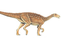 葡萄牙龙:欧洲最原始装甲恐龙(体长仅4米/1.9亿年前)