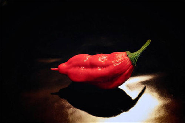 世界上最辣的十大辣椒 哈瓦那辣椒上榜红巨椒很是毒辣